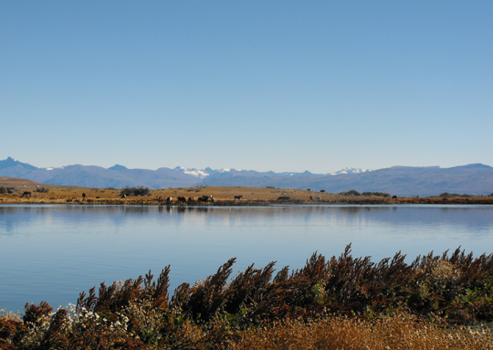 Laguna Nimez.