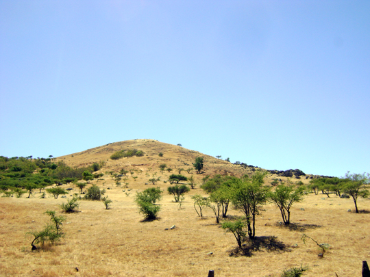 Il secano a El Cobre in gennaio.